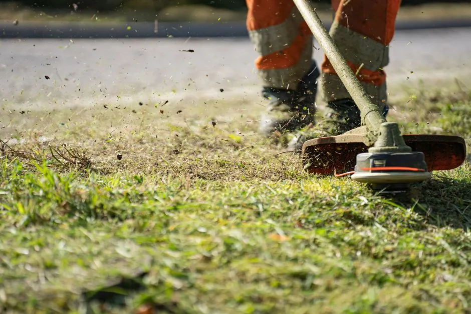 Jardin entretenu à Chambéry — Daguier Multiservices